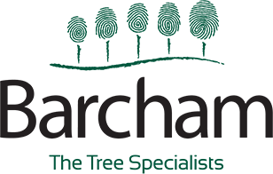 Barcham - The tree specialists