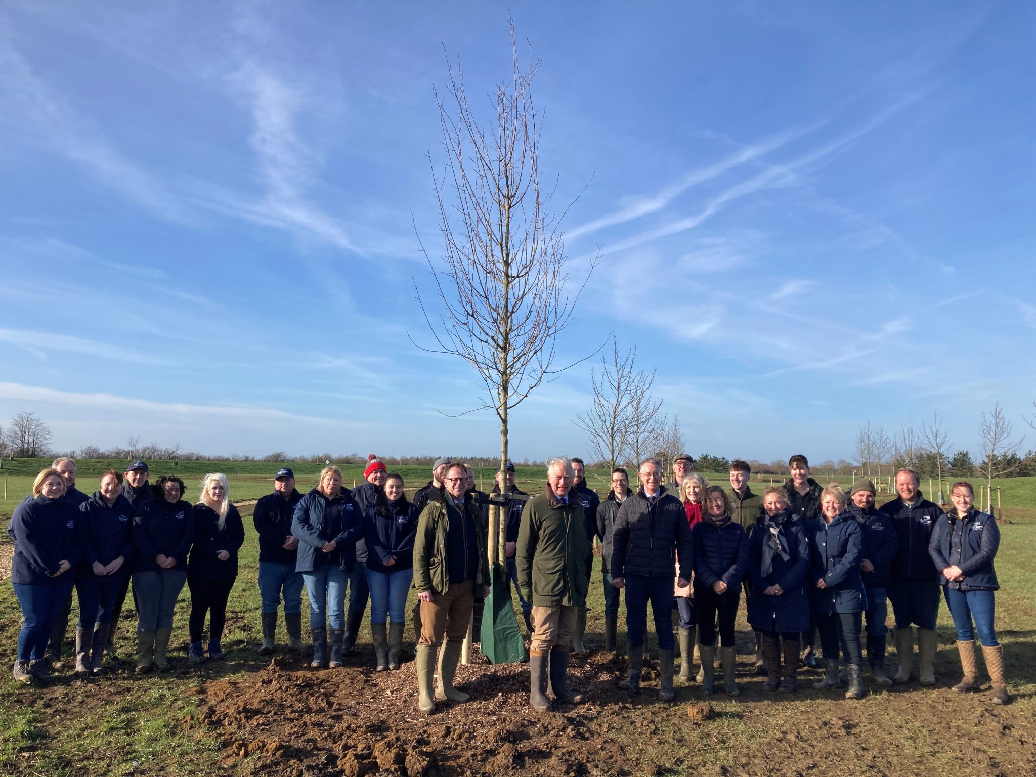 Barcham | Trees For Sale | Tree Nursery | Mature Trees