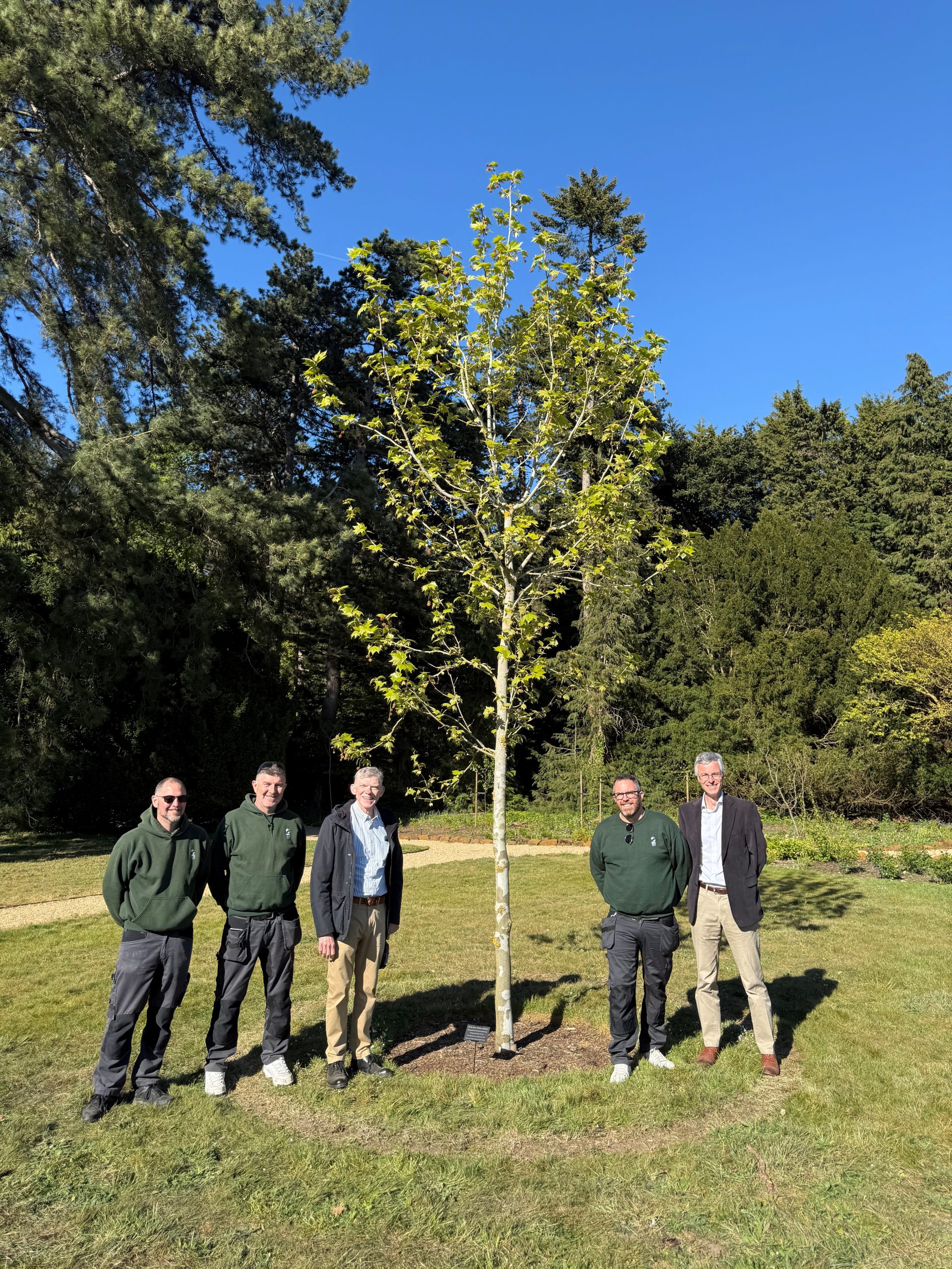 King's Team at Sandringham