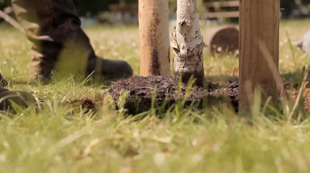 Checking planting depth