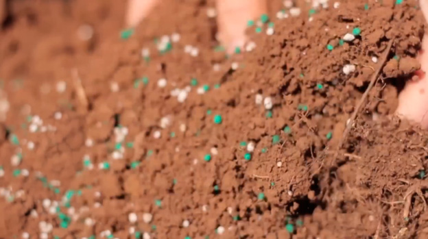 Fertilising soil before planting the tree