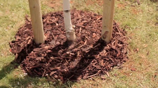 Mulching